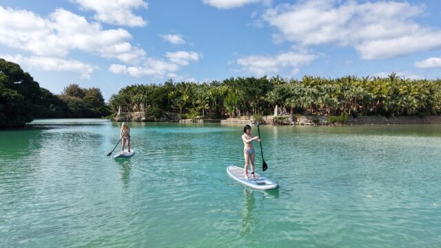 マングローブ　SUP