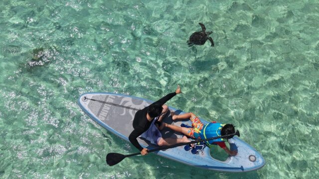 ウミガメ　SUP