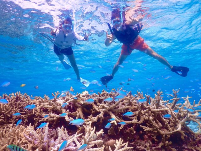 八重干瀬 シュノーケリング