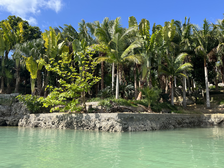 【宮古島/約1時間半】マングローブSUPで味わう静かな非日常ツアー☆時間帯が選べて無理なく安心◎《写真無料・未就学児無料》（No.754）