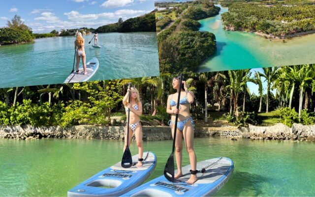 マングローブ　SUP