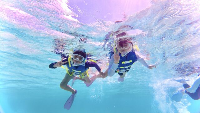 ウミガメ　シュノーケリング