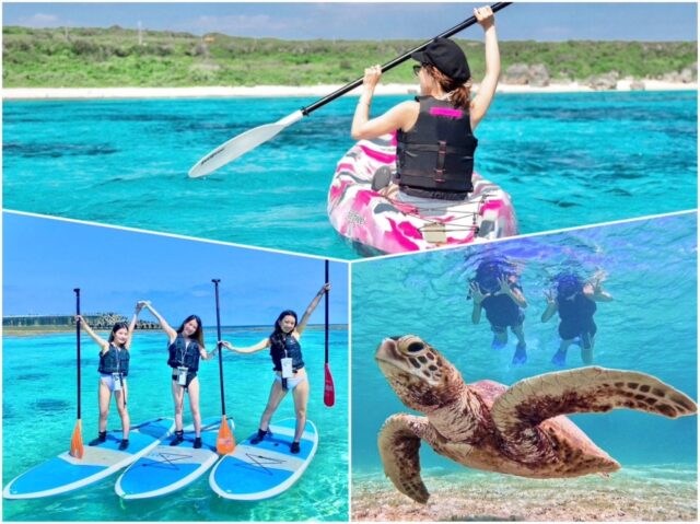 宮古島でウミガメと泳ごう！宮古島で会えるウミガメの種類やおすすめのウミガメツアー紹介