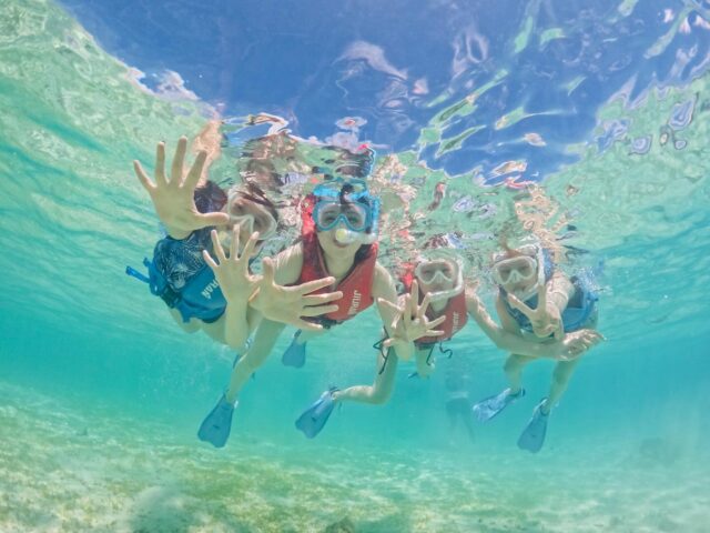 八重干瀬 シュノーケリング アクティビティ