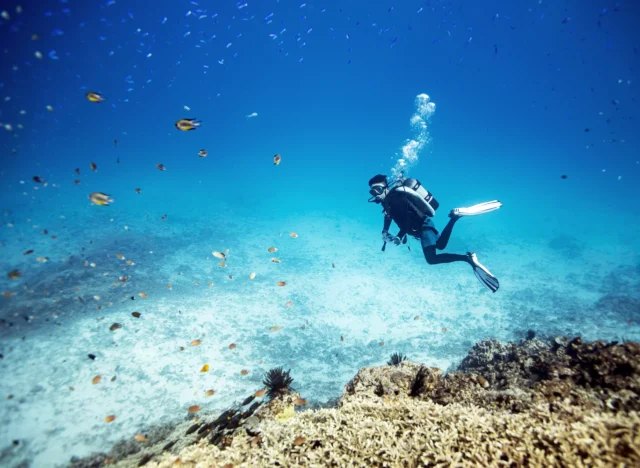 多良間島 浮潛