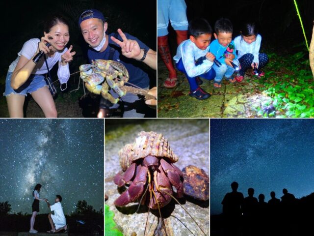 ナイトツアー＆星空観測