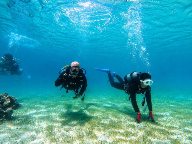 Experience Diving