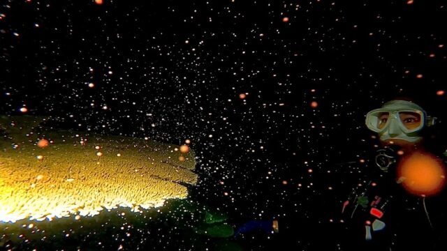 Night Diving, Recreational Diving