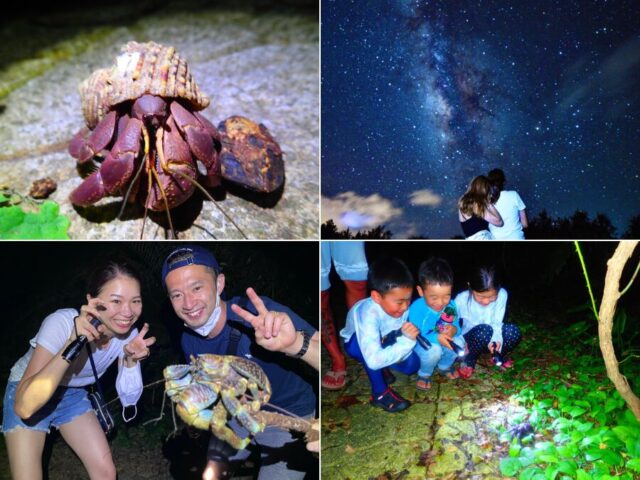 夜間導覽與觀星活動