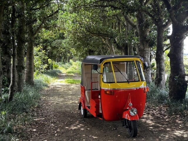 トゥクトゥクで島内観光