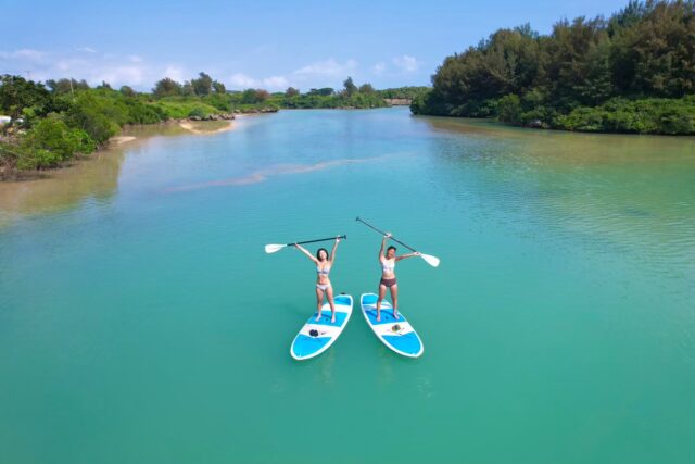マングローブ　SUP