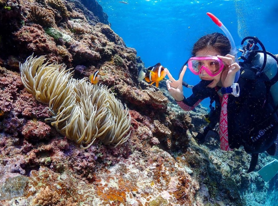 【宮古島/下地島/約2.5時間】リアル天然水族館に感動☆ビーチ体験ダイビング＆シュノーケリング午前コース＜EnglishOK/10歳～80歳参加OK/写真無料＞（No.865）