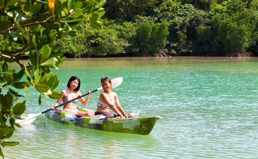 マングローブ、SUP、カヌー