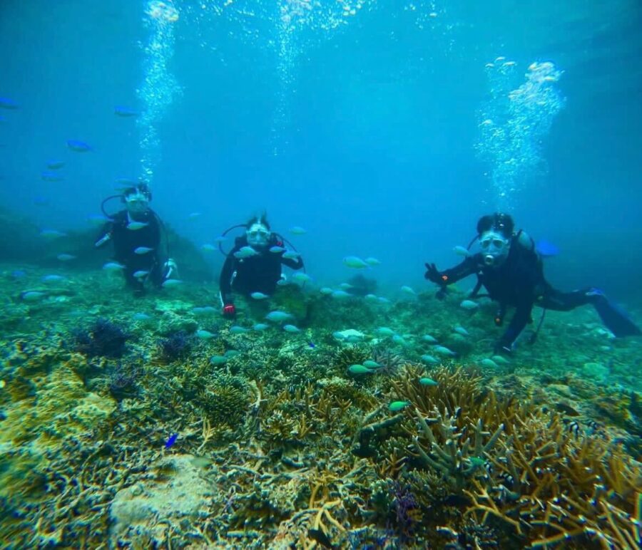 【宮古島/伊良部島/下地島】神秘的な地形エリアへ☆貸切で安心！1diveボート体験ダイビング午後半日ツアー＜キャンセル料無料＆送迎可能＞GoProレンタル付き（No.941）