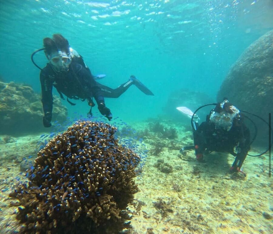 【宮古島/伊良部島/下地島】神秘的な地形エリアへ☆貸切で安心！1diveボート体験ダイビング午後半日ツアー＜キャンセル料無料＆送迎可能＞GoProレンタル付き（No.941）