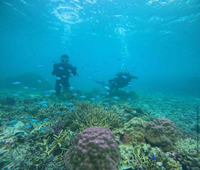 【宮古島/伊良部島/下地島】神秘的な地形エリアへ☆貸切で安心！1diveボート体験ダイビング午後半日ツアー＜キャンセル料無料＆送迎可能＞GoProレンタル付き