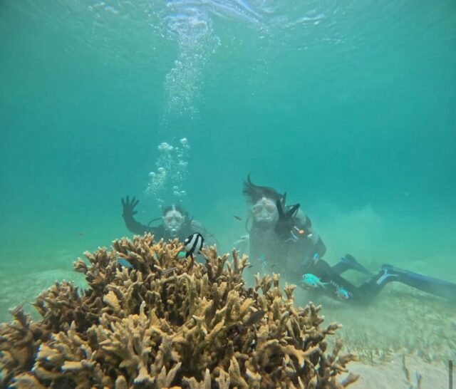 【宮古島/伊良部島/下地島】神秘的な地形エリアへ☆貸切で安心！1diveボート体験ダイビング午後半日ツアー＜キャンセル料無料＆送迎可能＞GoProレンタル付き