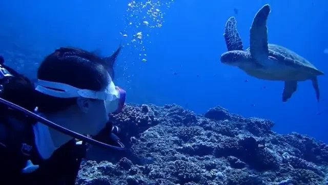 【宮古島/伊良部島/下地島】神秘的な地形エリアへ☆貸切で安心！2diveボート体験ダイビング午前半日ツアー＜キャンセル料無料＆送迎可能＞GoProレンタル付き