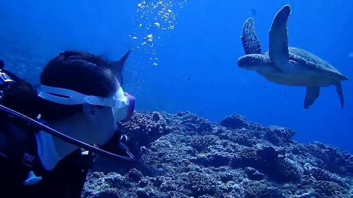 【宮古島/伊良部島/下地島】神秘的な地形エリアへ☆貸切で安心！2diveボート体験ダイビング午前半日ツアー＜キャンセル料無料＆送迎可能＞GoProレンタル付き（No.940）