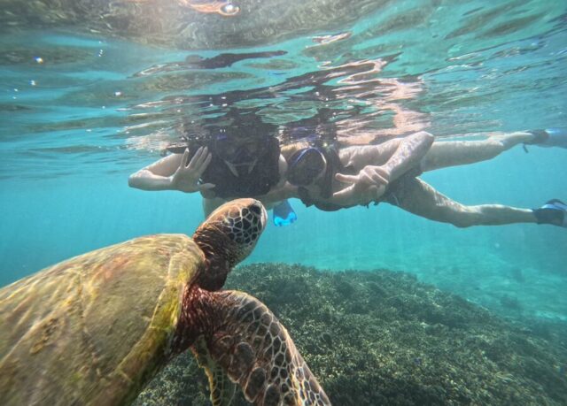 【訪日インバウンド向け】外国人観光客の宮古島旅行・アクティビティツアー予約ならお任せください！