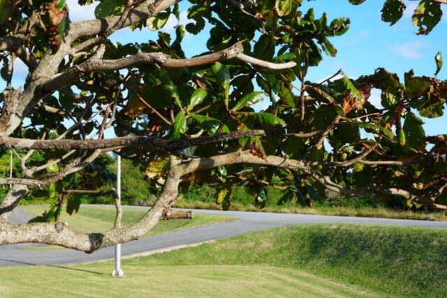 宮古島ならではの自然や文化　のんびり過ごせる場所