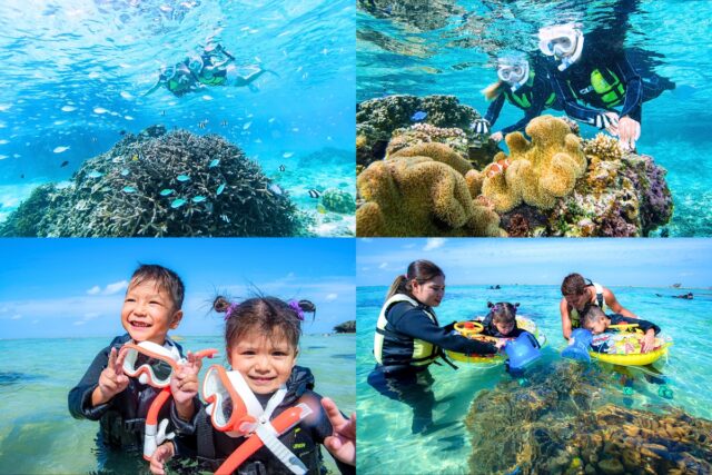 シュノーケリング、熱帯魚