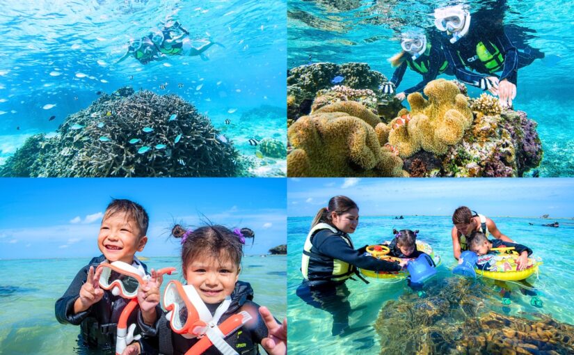 シュノーケリング、熱帯魚