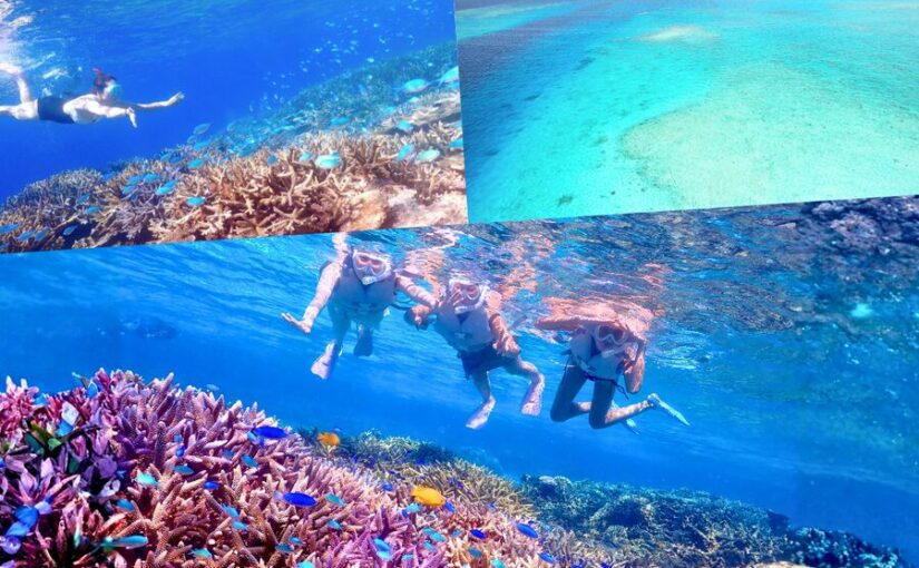 八重干瀬　ウミガメ　シュノーケリング