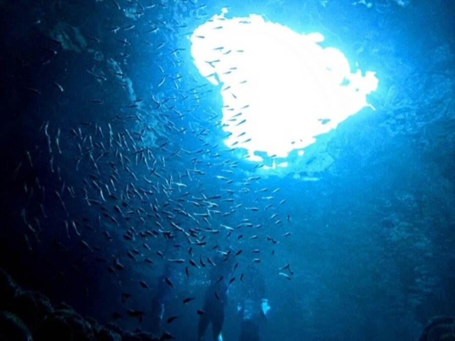 【宮古島/10〜6月開催】宮古島のパワースポットを探検★輪廻転生の池（鍋底池）シュノーケリングツアー（No.967）