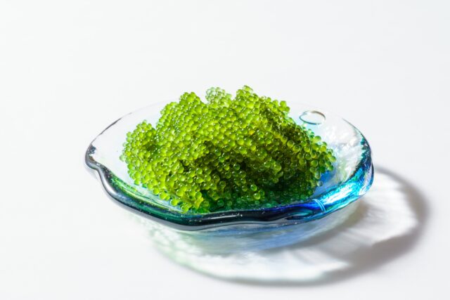 宮古冷麺の海ぶどうトッピング