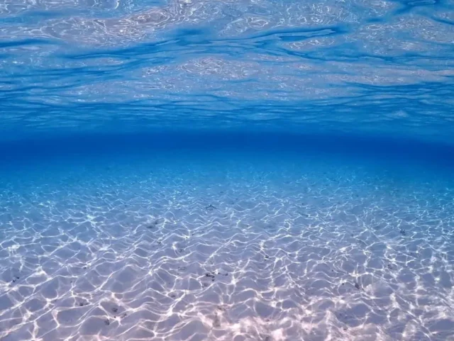 雅加塞浮潜