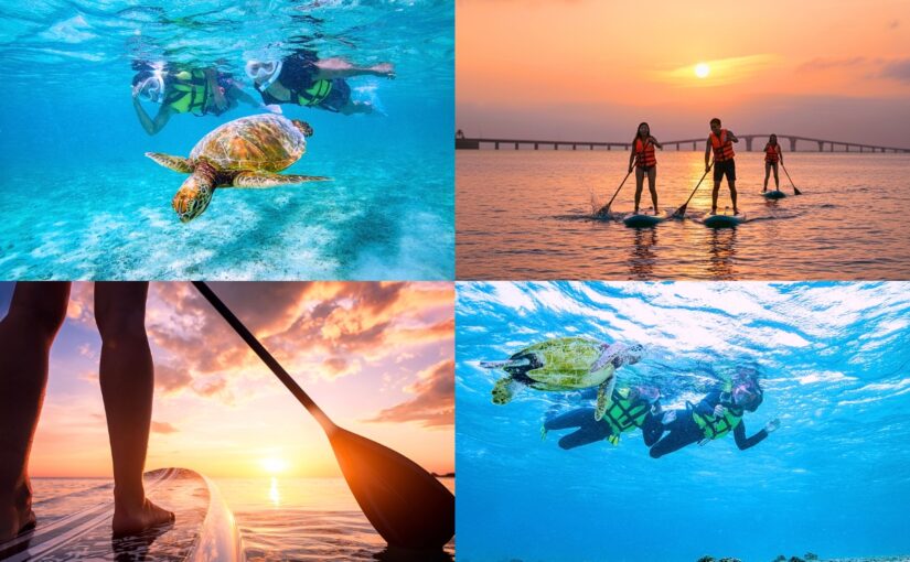 サンセットSUP、ウミガメシュノーケリング