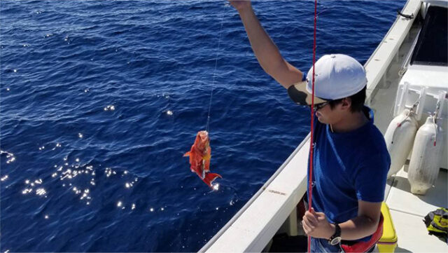 チャーター船 釣り