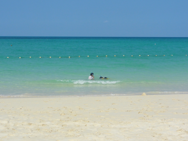 与那覇前　遊泳　シュノーケリング