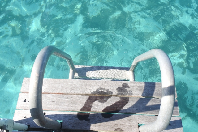 プール リゾート