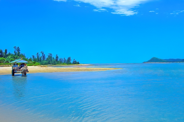 水牛　海　渡る