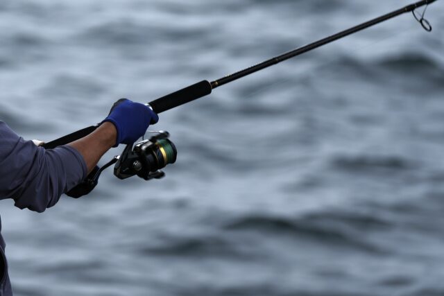 釣り　手元