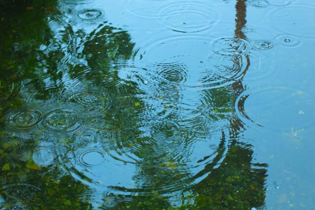 雨　水たまり