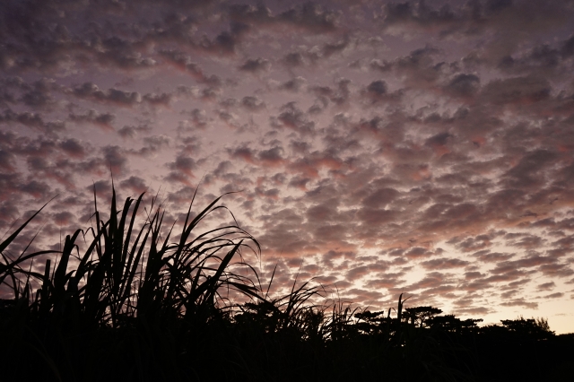 宮古島　秋