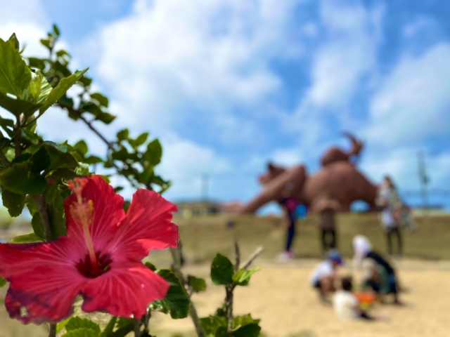 宮古島　家族旅行