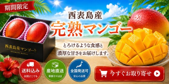 マンゴー通販