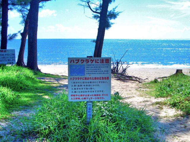 ハブクラゲ注意の看板