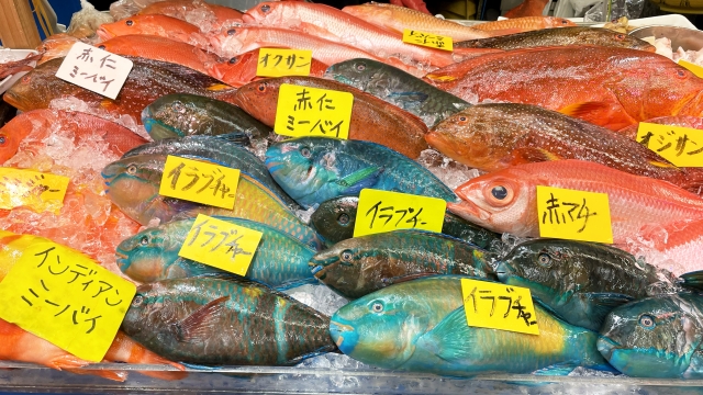 市場に並んだ新鮮な魚　沖縄の魚　寿司ネタ