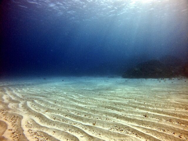 多良間島　ダイビング　砂地