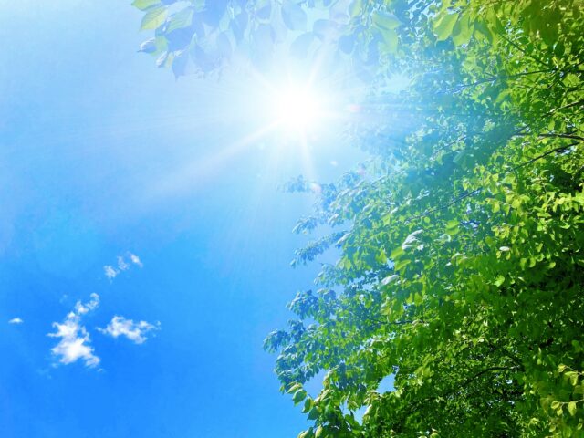 天気　晴れ