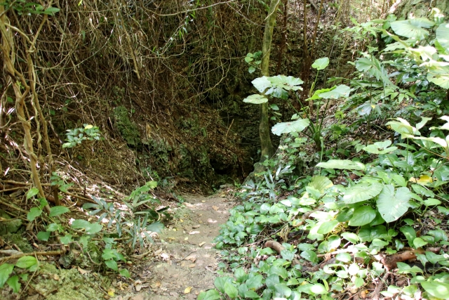 Nudocubiabu