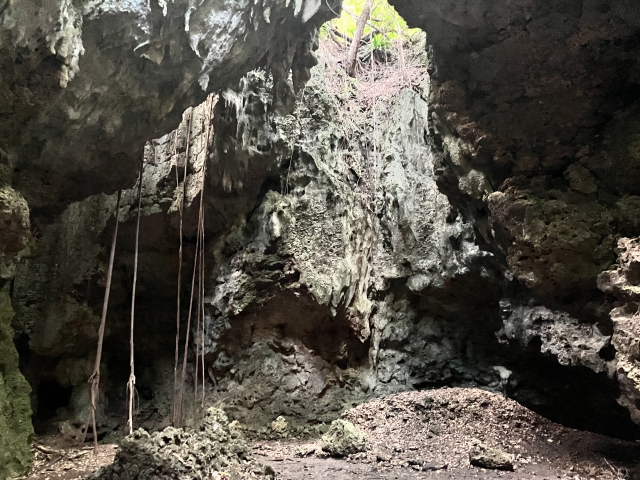 Nudocubiabu