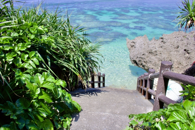シンビジ 宮古島
