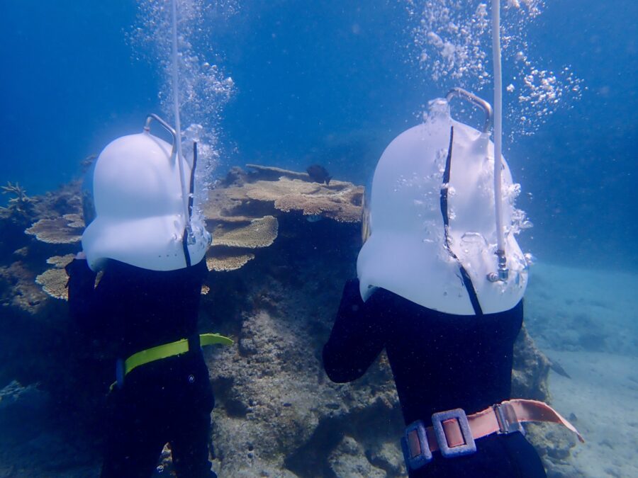 シーウォーク　海中散歩　熱帯魚