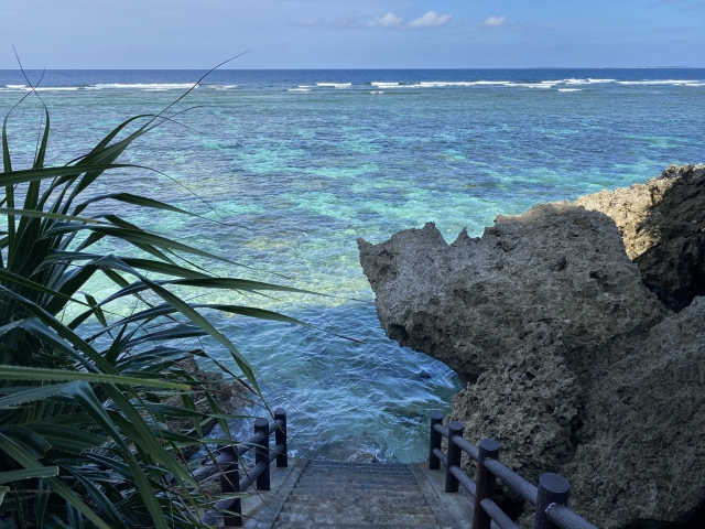 シンビジ 宮古島